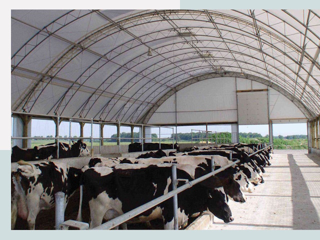 Тентовые коровники в Нижнем Новгороде